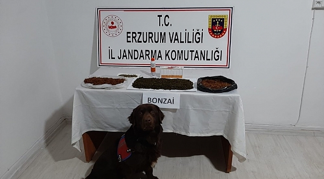 Erzurum'da yapılan operasyonlarda uyuşturucuya geçit verilmedi