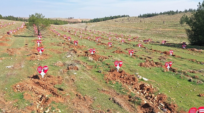 Evlenen çiftlere ömürlük hediye