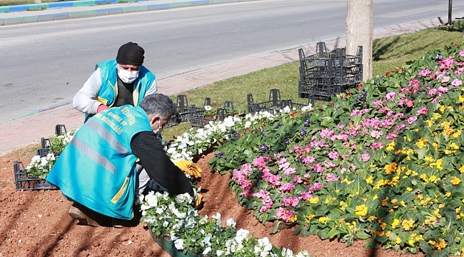 Eyyübiye'de peyzaj çalışması