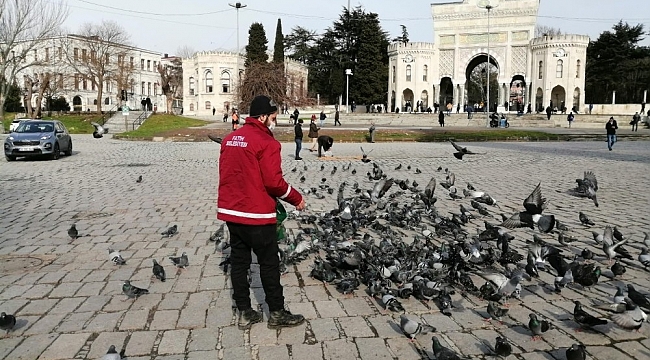 Fatih Belediyesi kısıtlamada sokak hayvanlarını unutmadı