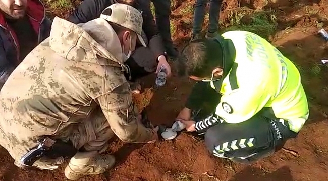 Feci kazada minibüsün altında kalan güvercinleri güvenlik güçleri kurtardı