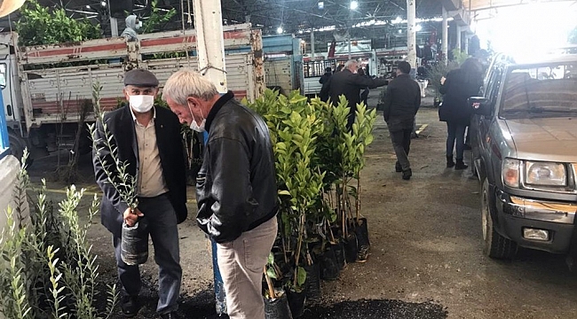 Fidanlar üreticilere teslim edildi
