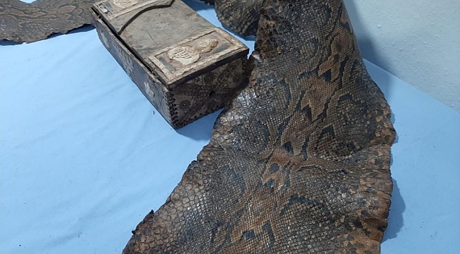Gaziantep'te İbranice yazıların bulunduğu piton derisi ele geçirildi