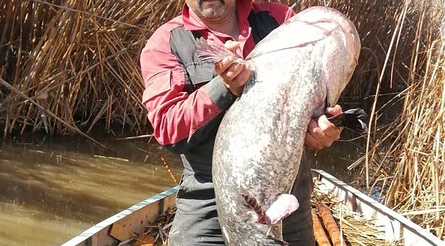 Gölhisar gölünde 35 kg'lık yayın balığı yakalandı