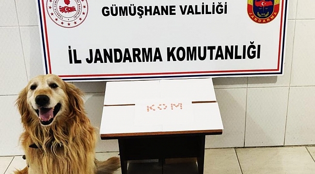 Gümüşhane'de extacy hap ve tütün operasyonu