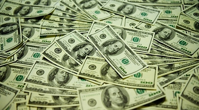 Gürcistan'da piyasaya sahte dolar süren Türk vatandaşı gözaltında
