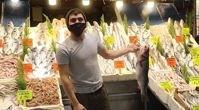 Hamsiye gelen av yasağı tüm balıkları etkiledi