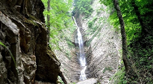 Harmankaya Şelalesi'nin doğal güzellikleri görenleri hayran bırakıyor