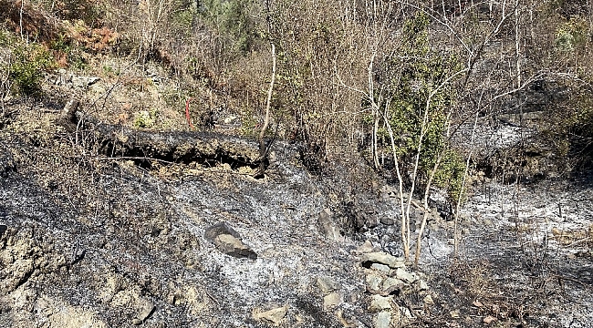 Hatay'da örtü altı yangını büyümeden söndürüldü