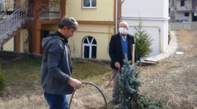 Hisarcık Yunus Emre Cami bahçesi ağaçlandırıldı