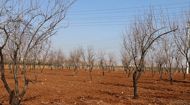 Hobi Bahçesi Proje çalışmaları devam ediyor