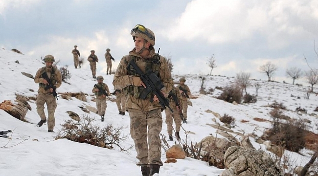 İçişleri Bakanlığınca Bitlis ve Siirt illerinde "Eren -6 Mergelo" Operasyonu başlatıldı