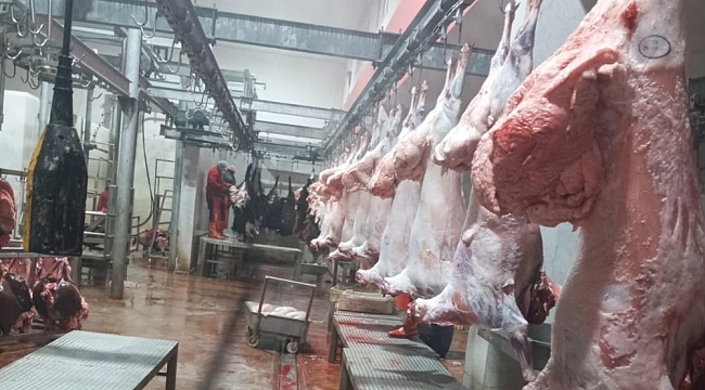 Iğdır'da kesimhanelerde denetim yapıldı