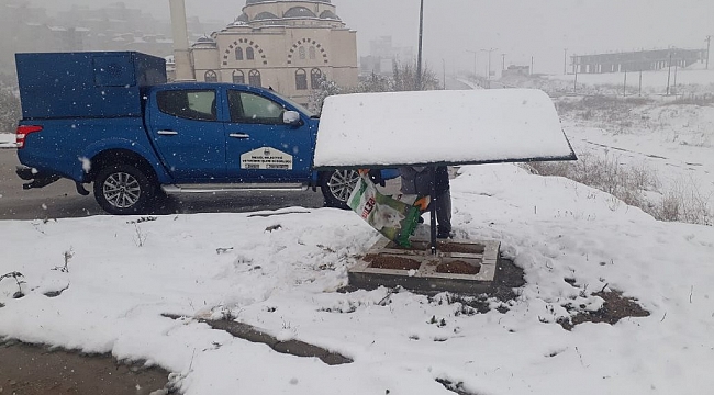 İnegöl Belediyesi sokak hayvanlarını yalnız bırakmıyor