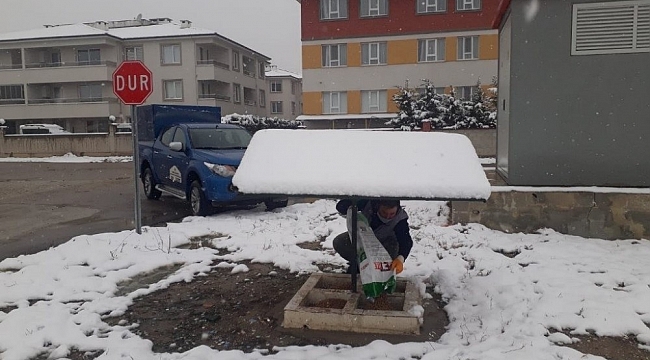 İnegöl Belediyesinden sokak hayvanlarına şefkat eli