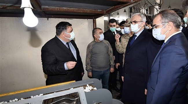 İpek kozasının yüzde 60'ı Kulp'ta üretiliyor