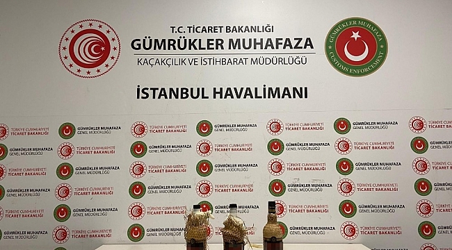 İstanbul Havalimanı'nda sıvı kokain ele geçirdi