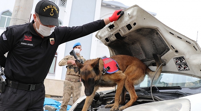Jandarmanın hassas burunları "Şila" ve "Vera"