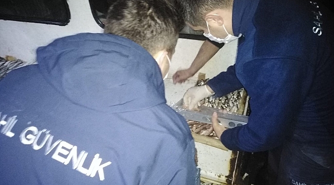 Karaburun balıkçı barınağında denetim