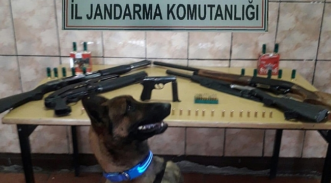 Kars'ta silah kaçakçılığı operasyonu