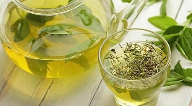 Kartepe'de tıbbi nane yetiştiriciliği için harekete geçildi