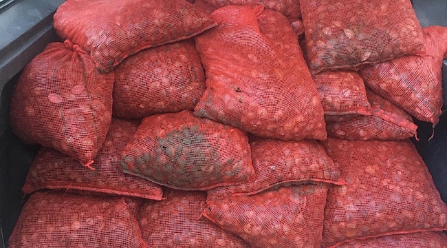 Keşan'da 1 ton kaçak kum midyesi ele geçirildi