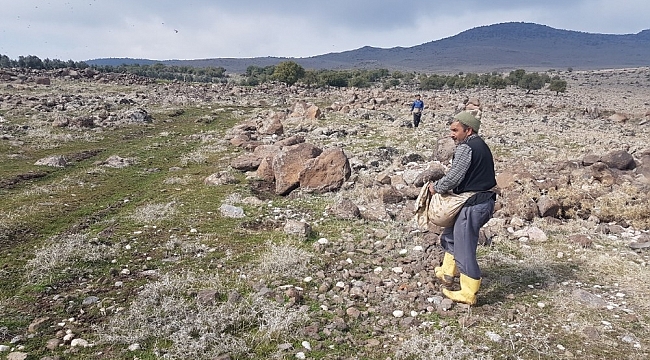 Kilis'te 6 bin 541 dekar mera alanına 14 ton gübre atılacak