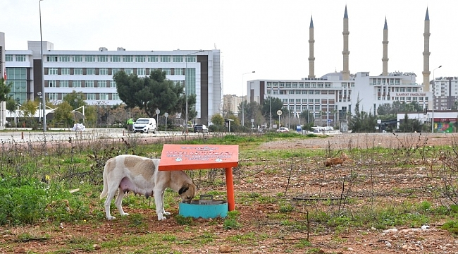 Konyaaltı Belediyesi'nden, AÜ'ye beslenme odağı