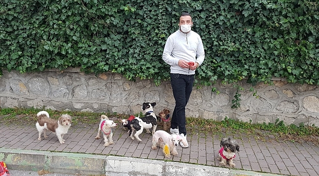 Köpeklerin efendisi
