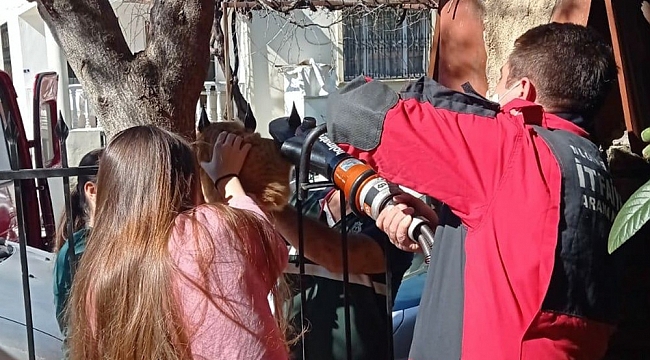 Korkuluk demirine sıkışan kediyi itfaiye kurtardı