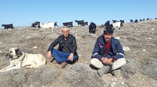 Korona virüsten uzak bir yaşam