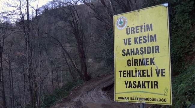 Köylü ormanına sahip çıktı, usulsüz kesim durduruldu