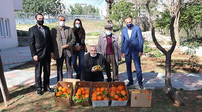 Kozan'ın yöresel ürünleri 'e- ticaret' ile yurdun dört bin yanına gidiyor