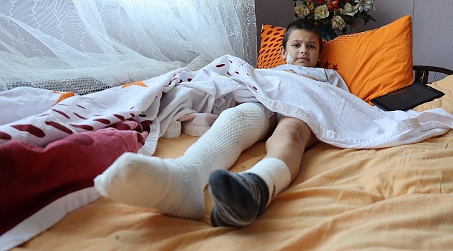 Küçük çocuk 15 dikişle kurtulduğu pitbull dehşetini böyle anlattı: