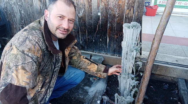 Küçükkuyu'da fidanlar buz tuttu