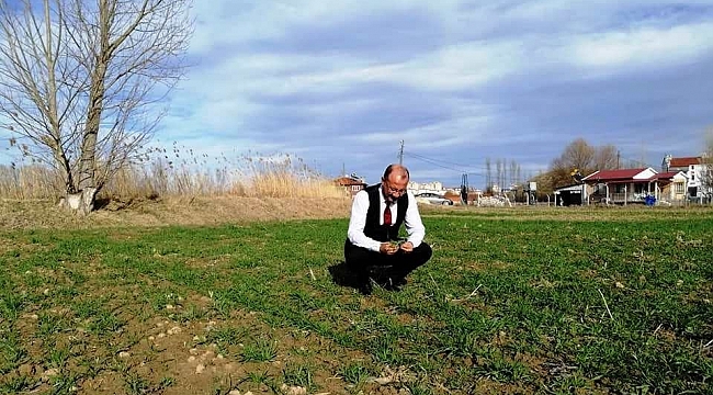 Kütahya'da hububat ekili alanlarda gelişim gözlenmesi yapıldı