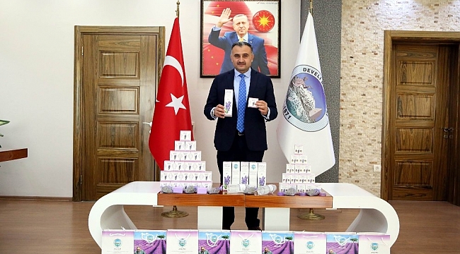 Lavanta bahçesinden ilk ürünler alındı