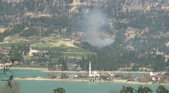 Manavgat'taki orman yangını kontrol altında