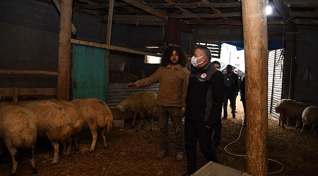 Mandıra filozofu besicilikte de başarılı oldu