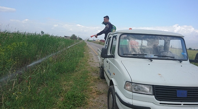 Nazilli'de haşereyle mücadele başladı