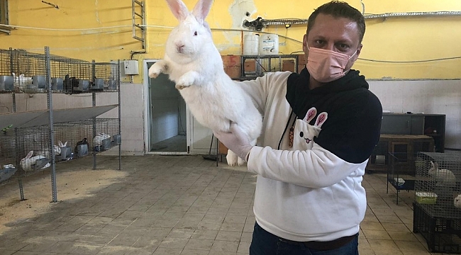 Öğretmenliği bırakıp tavşan çiftliği kurdu