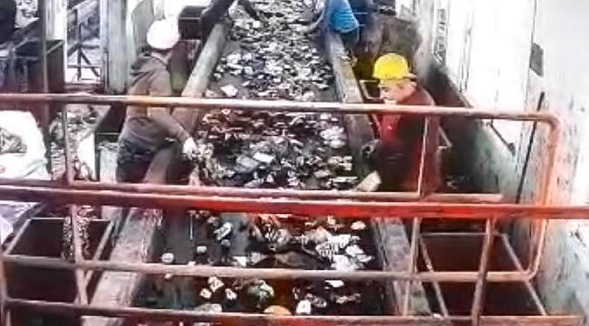 Ordu'da bebek cesedinin çöpte bulunma anı kamerada