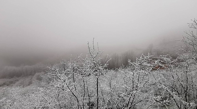 Ordu'da beklenen kar etkili oldu