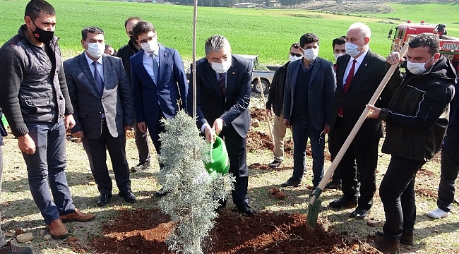 Osmaniye'de 112 fidan toprakla buluştu