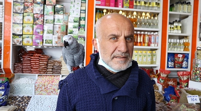 Papağan Paşa, 500 kelime konuşuyor ve dua okuyor