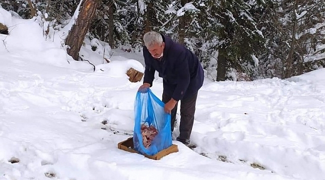 Safranbolu'da yaban hayvanları unutulmadı