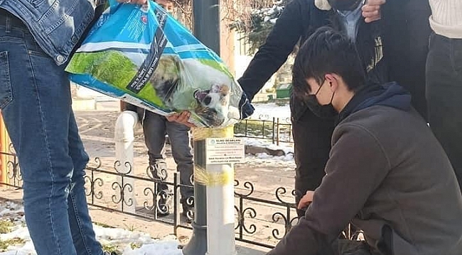 Sokak hayvanları unutulmadı