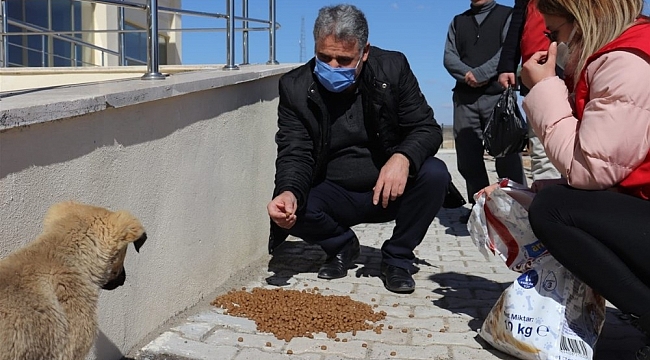 Sokak hayvanlarını besleyen gençlere plaket
