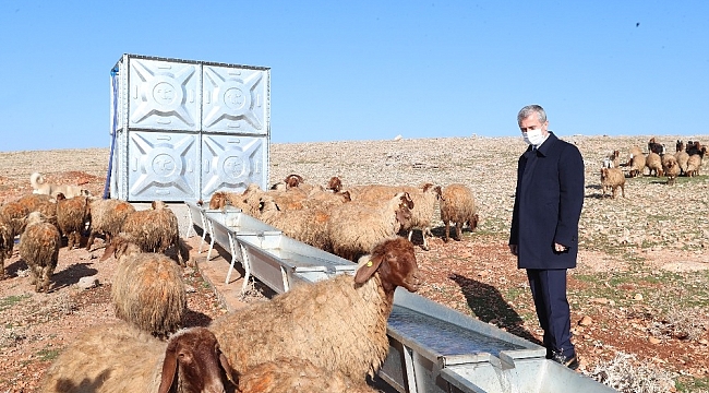 Tahmazoğlu, hayvancılık için açılan su kuyularını inceledi