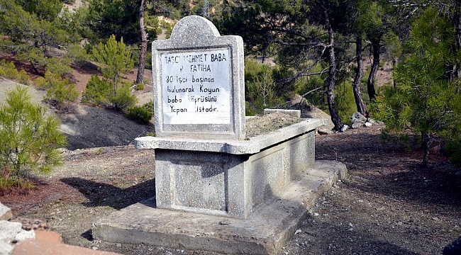 Taşçı Mehmet Baba'nın mezarı ilgi bekliyor
